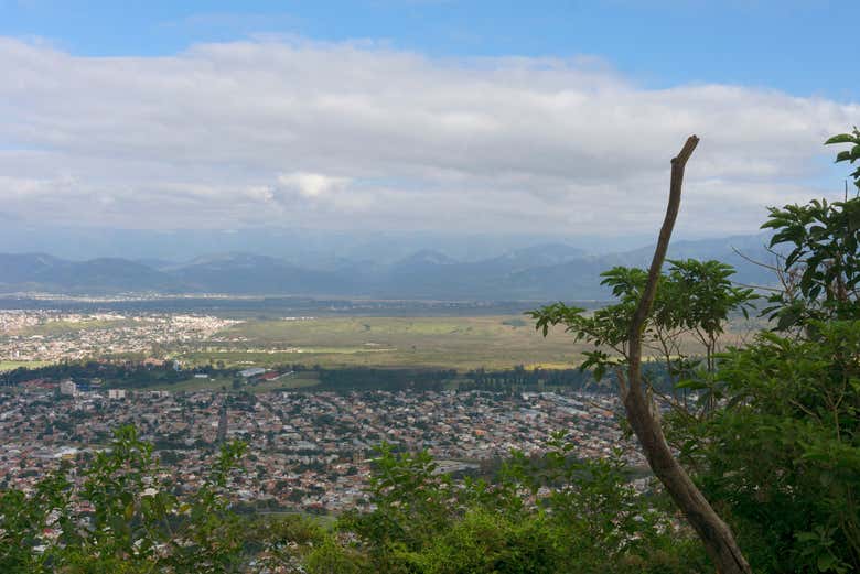 Ruta Del Tabaco Por El Valle De Lerma Desde Salta Civitatis