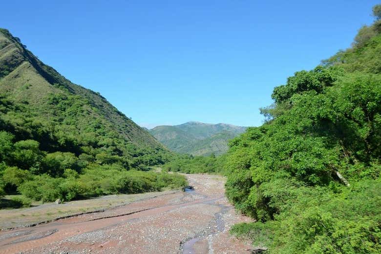 Ruta Del Tabaco Por El Valle De Lerma Desde Salta Civitatis