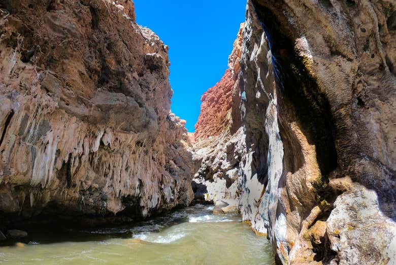 Excursi N Al Parque Nacional De Los Cardones Trekking Por El Puente