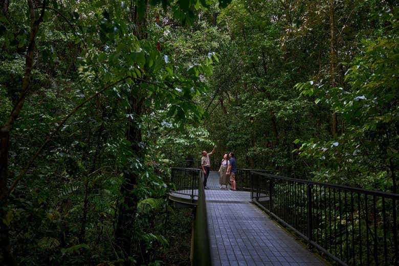 Daintree Mossman Gorge Y Cape Tribulation Desde Cairns