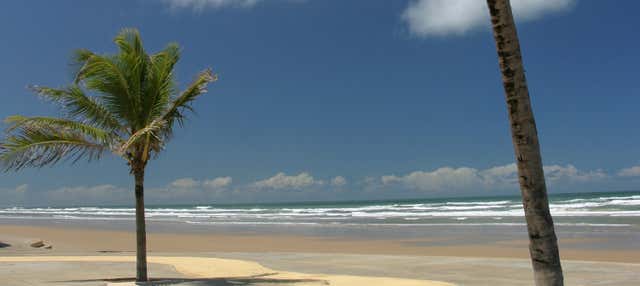 Caueira Beach Tambaquis Lagoon Excursion From Aracaju