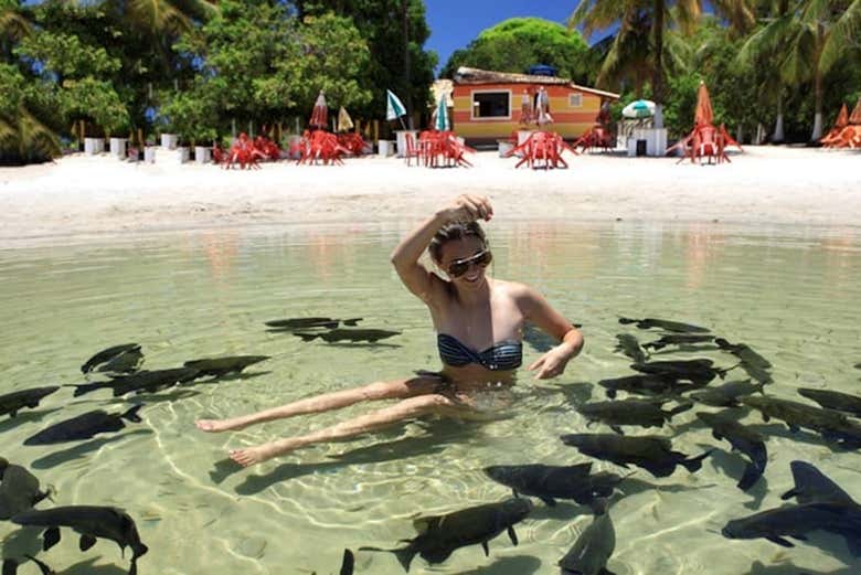 Excurs O Praia Caueira E Lagoa Dos Tambaquis Saindo De Aracaju