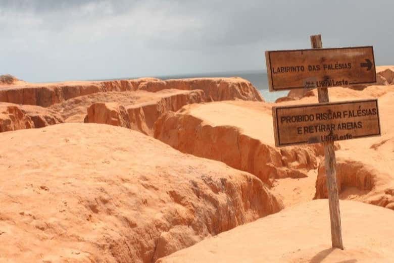 Tour pelas melhores praias do Ceará saindo de Fortaleza