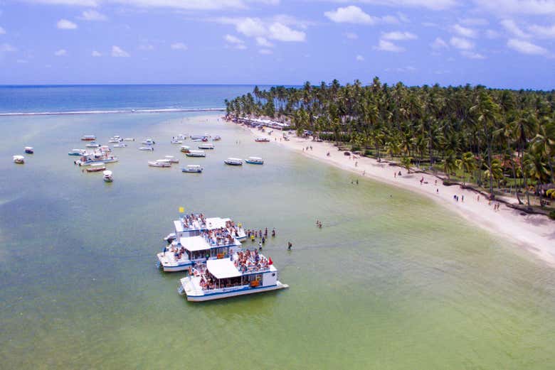 Passeio Praia Dos Carneiros Porto De Galinhas Civitatis