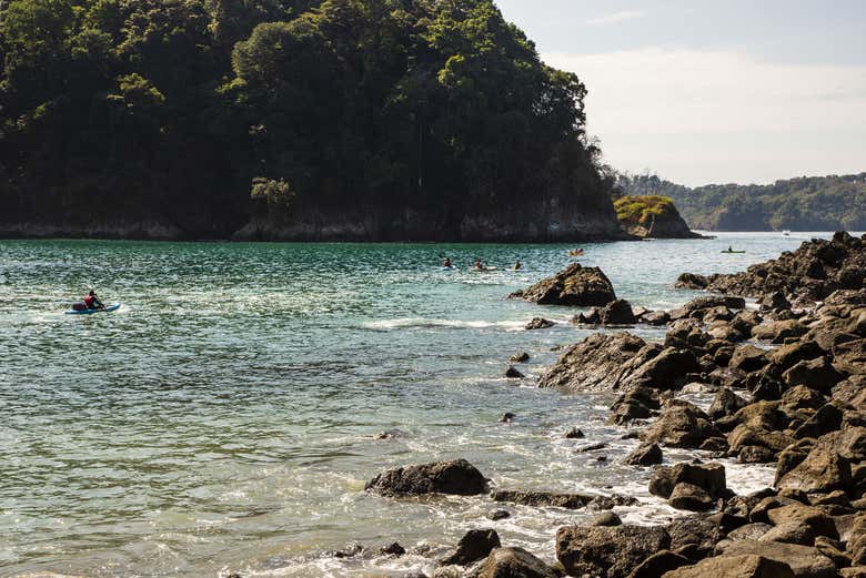 Kayak y snorkel en la bahía de Biesanz desde Uvita Civitatis