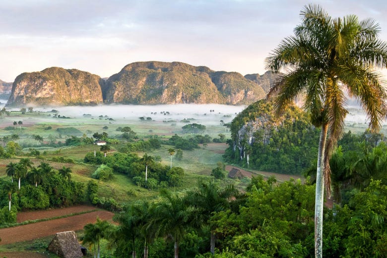 Spectacular views over the Viñales Valley