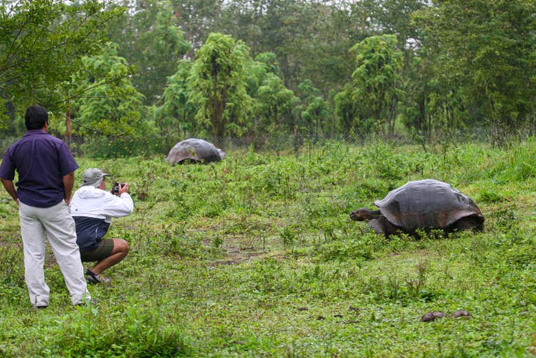 Tour De O D As Por La Isla De San Crist Bal Civitatis