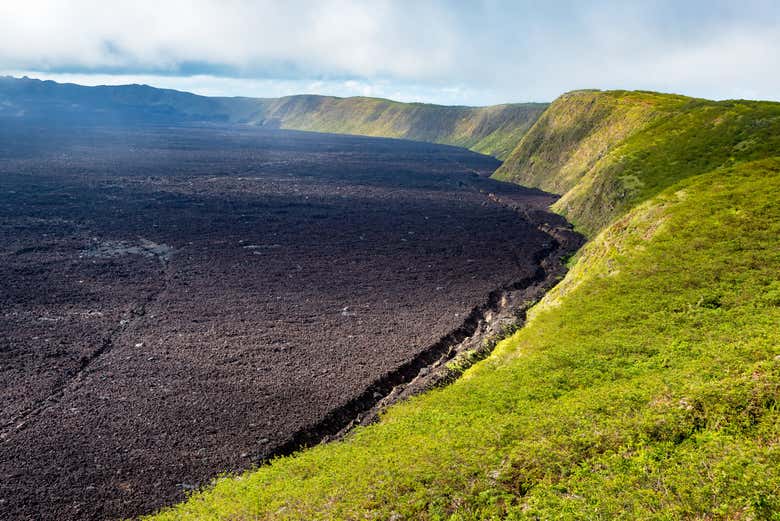 Excursión al volcán Sierra Negra Isla Isabela Civitatis