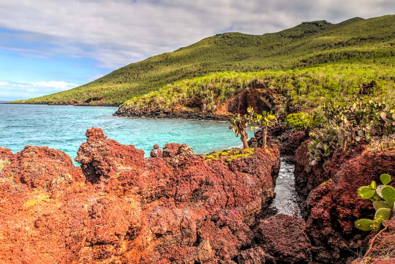 Crucero De D As Por El Oeste De Las Islas Gal Pagos Desde Baltra