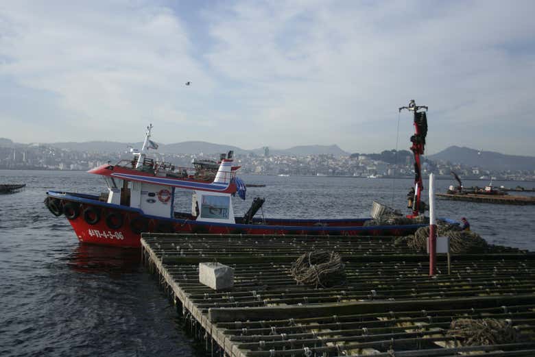 Paseo En Barco Por La R A Degustaci N De Mejillones Desde Cangas