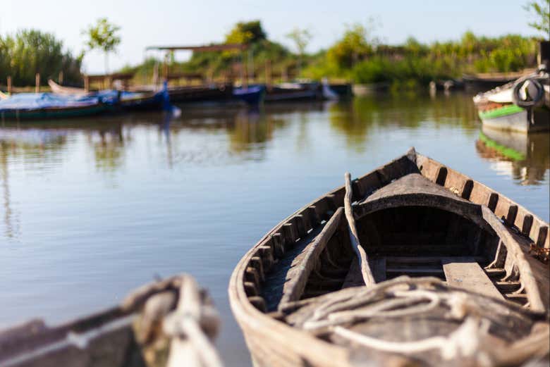 Paseo En Barca Por El Parque Natural De La Albufera Desde El Palmar El