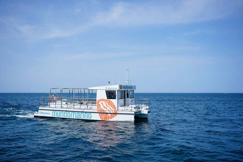 Paseo en barco por la bahía de Gandía Reserva en Civitatis