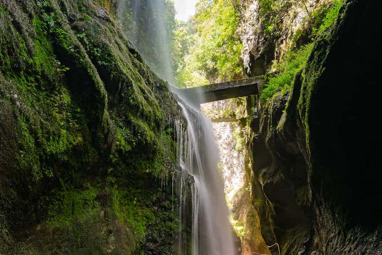 Excursión a La Palma desde Tenerife Los Cristianos