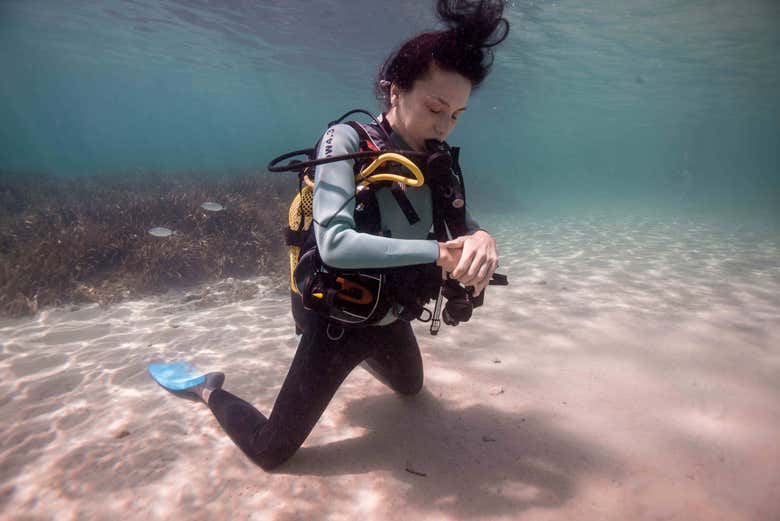 Curso De Mergulho PADI Open Water Em Port D Addaia