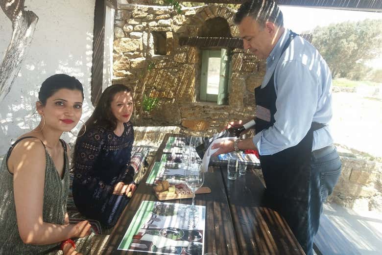 Wine Tasting At A Greek Farm In Mykonos Book At Civitatis