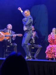 Flamenco Theatre Madrid Show Book Online At Civitatis