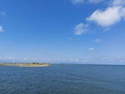 Paseo En Barco Por El Delta Del Ebro Desde Deltebre