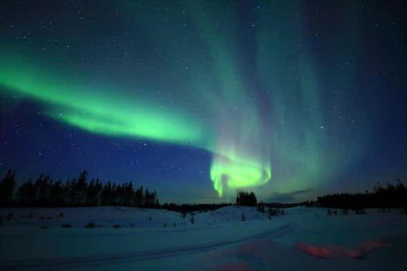 Visite Priv E La D Couverte Des Aurores Bor Ale Depuis Reykjavik