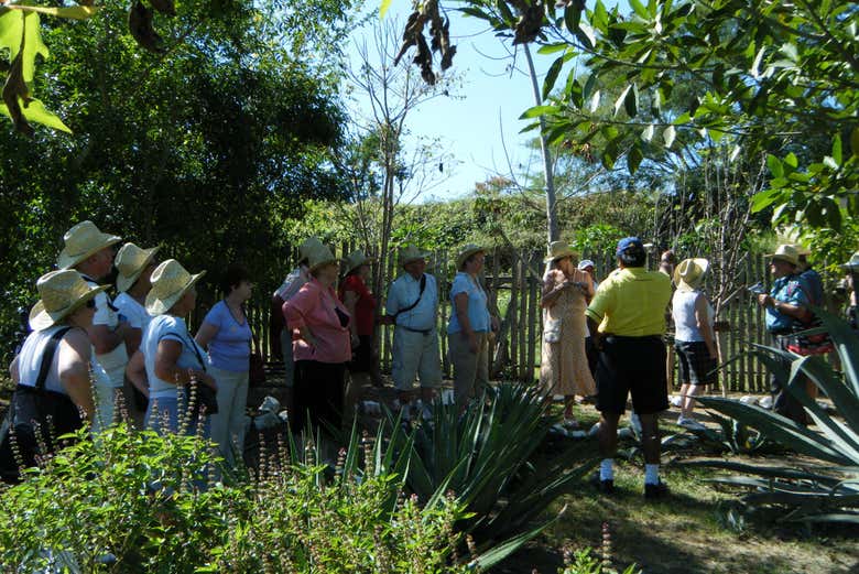 Tour Gastron Mico Por Huatulco Reserva Online En Civitatis