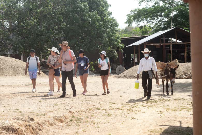 Tour Del Mezcal Por Huatulco Reserva Online En Civitatis