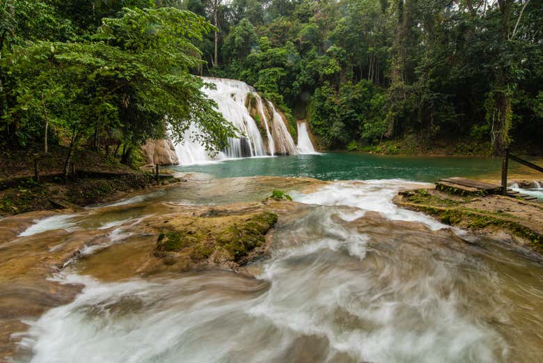 Excursi N De D As A Las Cascadas Las Golondrinas Y Bonampak Desde