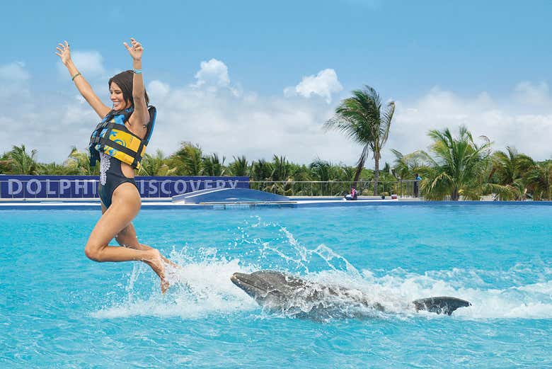 Nado Con Delfines En Playa Del Carmen Riviera Maya