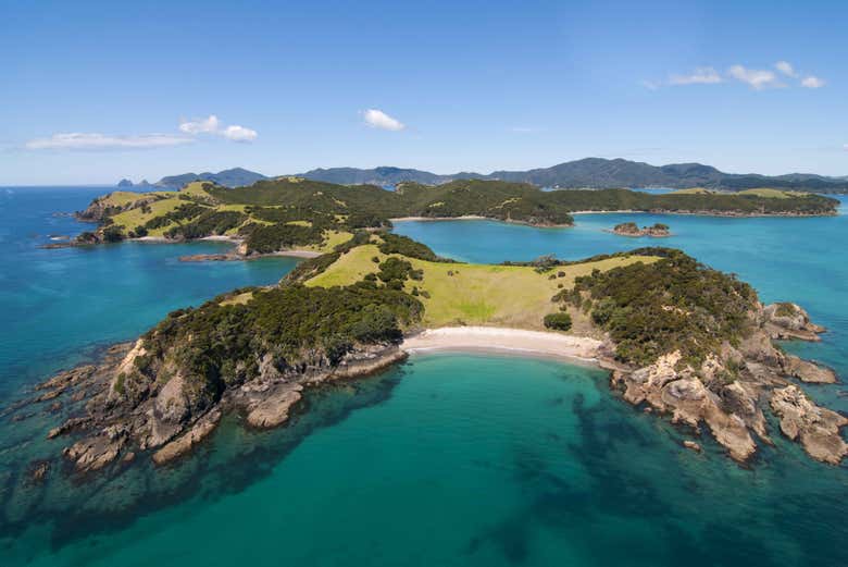 Excursión a la Bahía de las Islas desde Auckland Civitatis