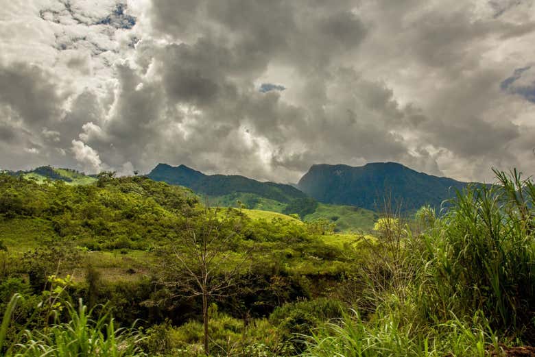 Excursión a Oxapampa y Parque Nacional Yanachaga desde La Merced