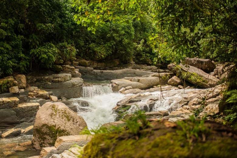 Senderismo Por El Parque Nacional Cordillera Azul Desde Pucallpa