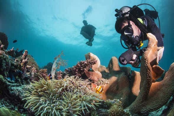 Padi Advanced Open Water Diving Course In Trincomalee