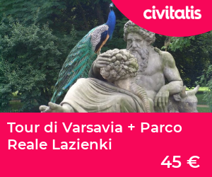 Tour di Varsavia + Parco Reale Lazienki