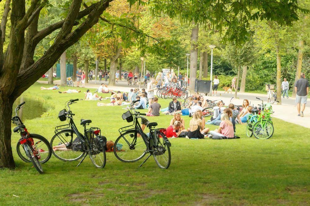 Plusieurs personnes assises sur l'herbe dans un parc et quelques vélos garés