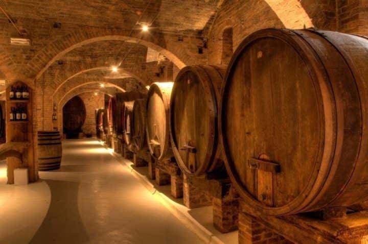 Visite d’une des caves à vin dans le Chianti