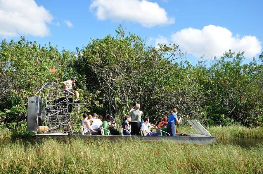 Hovercraft through the Everglades