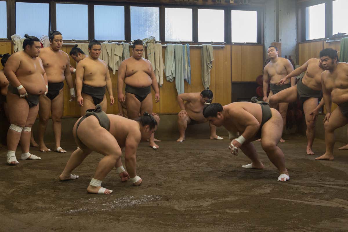 Combat de sumo