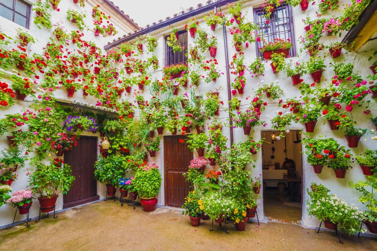 La belleza de los patios cordobeses