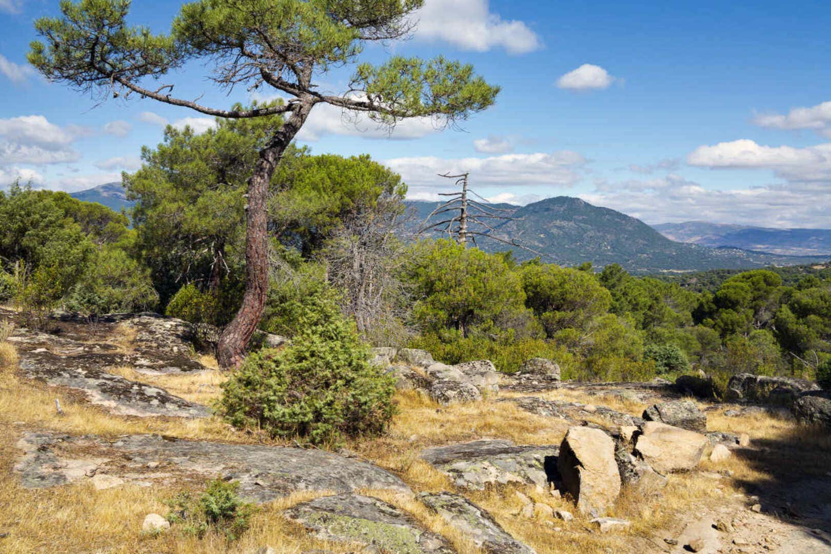 Panorámica del Parque Regional de la Sierra de Gredos con varios árboles y montañas en un día con varias nubes