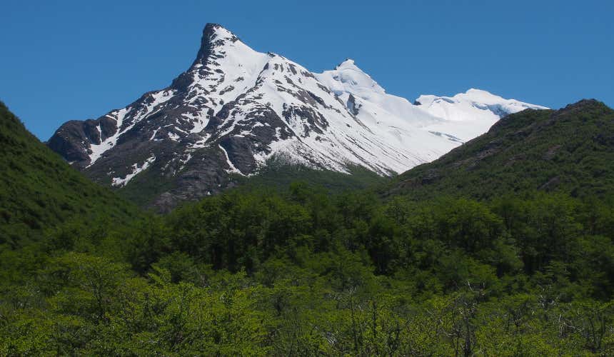 Il ghiacciaio Vespignani in un giorno soleggiato si erge sulla rigogliosa vegetazione circostante.