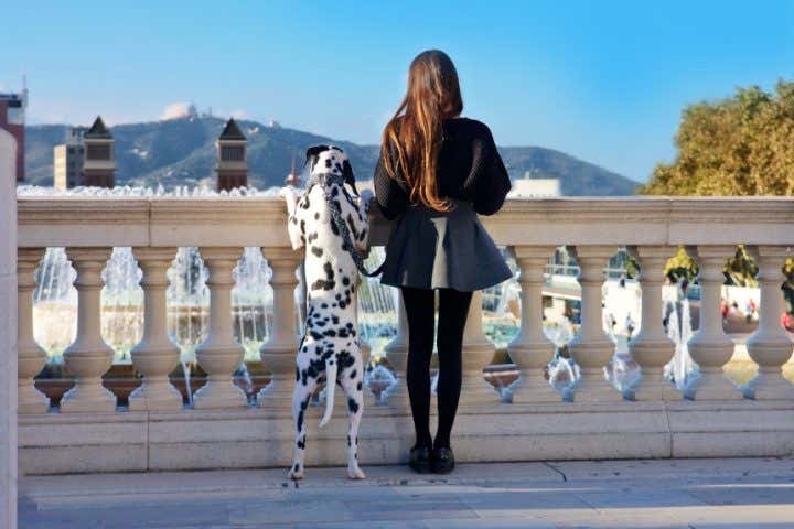 The 10 best pet-friendly travel destinations in Spain