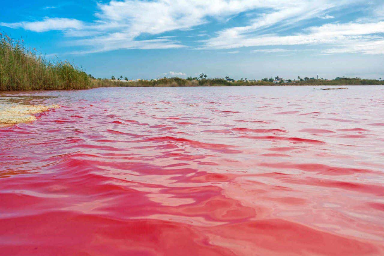 Laguna rosa de La Mata y Torrevieja, en Alicante.