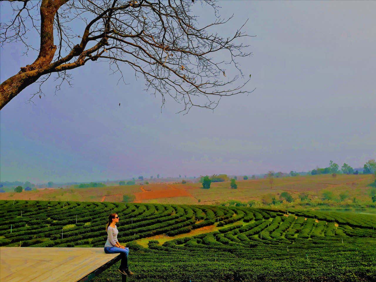 Anna Bondareva, Destination Manager de Civitatis, sentada junto a las extensas plantaciones de té de Tailandia.