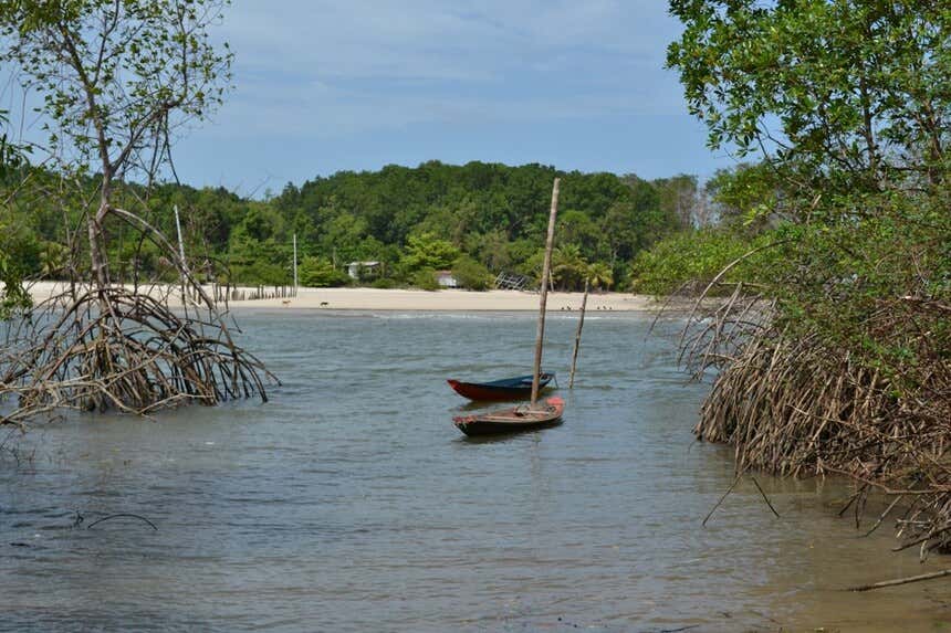 Canoas na Ilha de Marajó, maior ilha flúvio-marítima