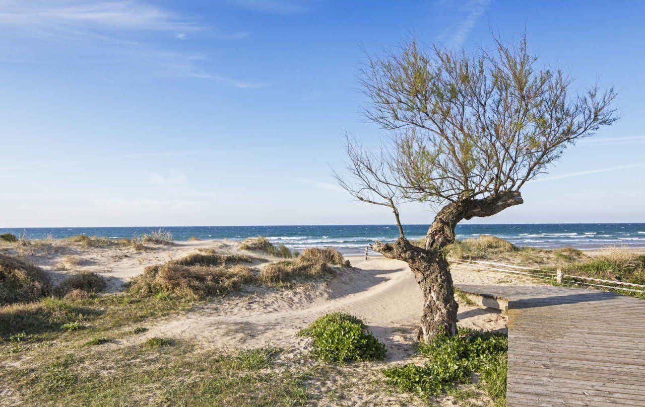 Naturaleza en la playa de Berria, en Santoña