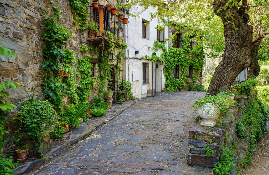 Tres casas con vegetación en la fachada y macetas en las entradas en una calle empedrada de Patones de Arriba, uno de los pueblos de la Sierra de Madrid