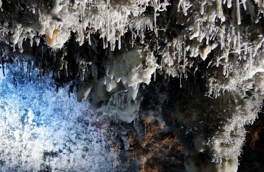 Helicitas no teto da cavernaEl Soplao