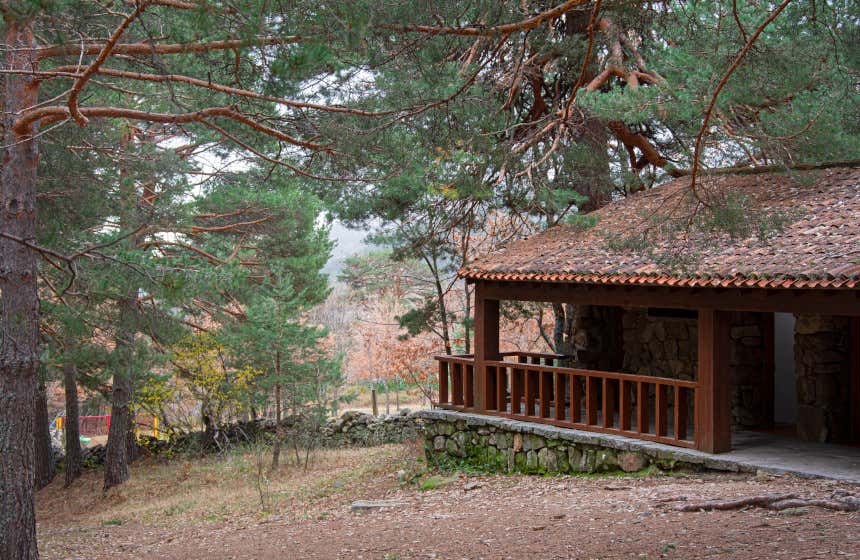 Una casa de madera y teja entre altos árboles en el valle de la Fuenfría en Cercedilla.