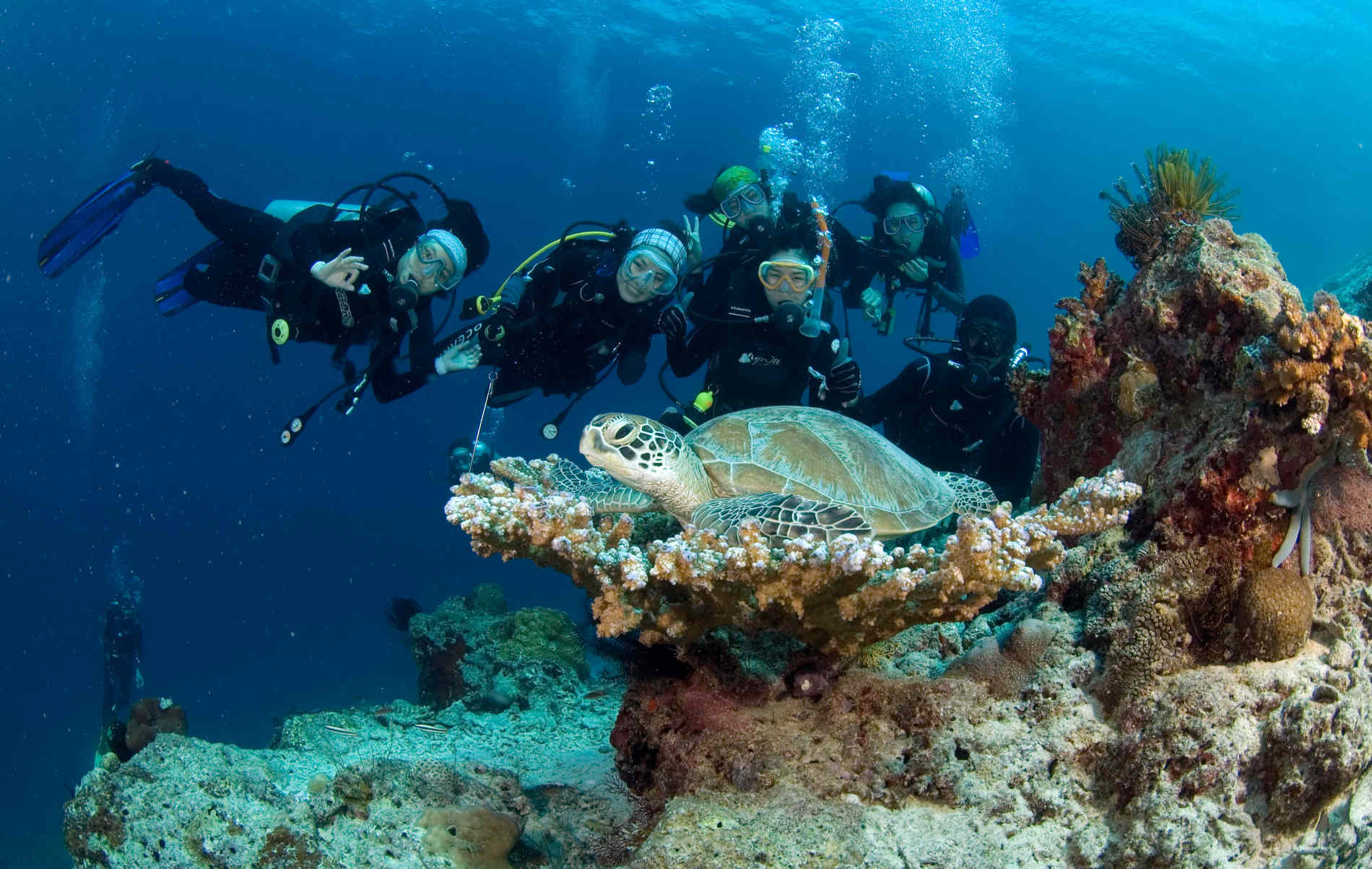Plongée sous-marine et Snorkeling : les meilleurs spots dans le monde