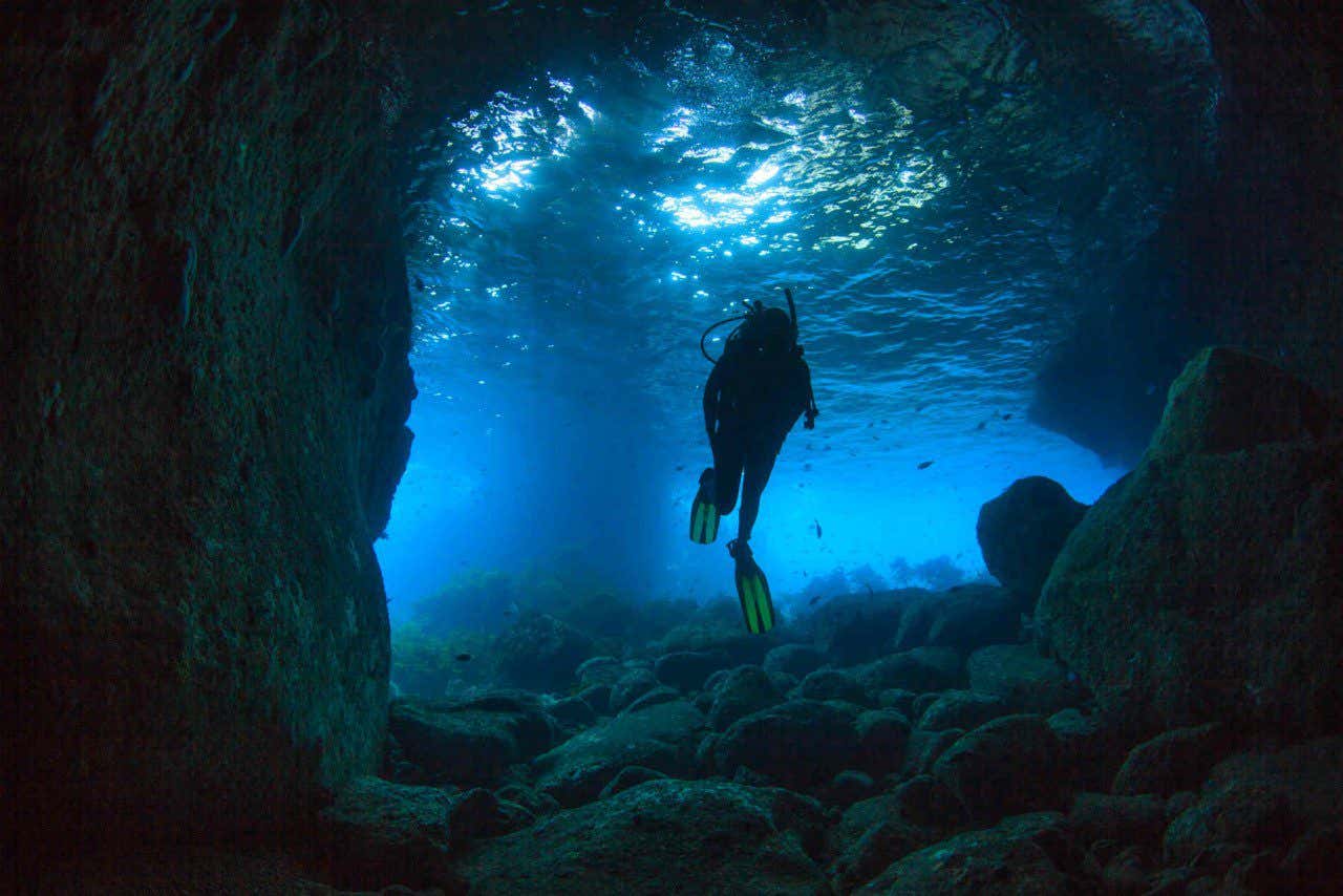 Buceando en una cueva en las islas Poor Knights, en Nueva Zelanda