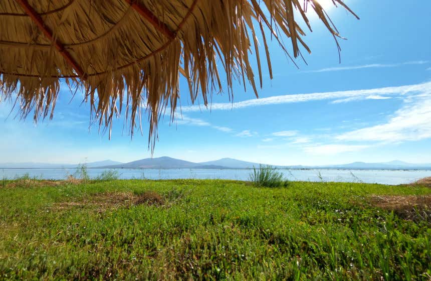 Paraje de Yuriria, uno de los sitios Ramsar de México debido al valor de sus humedales. 