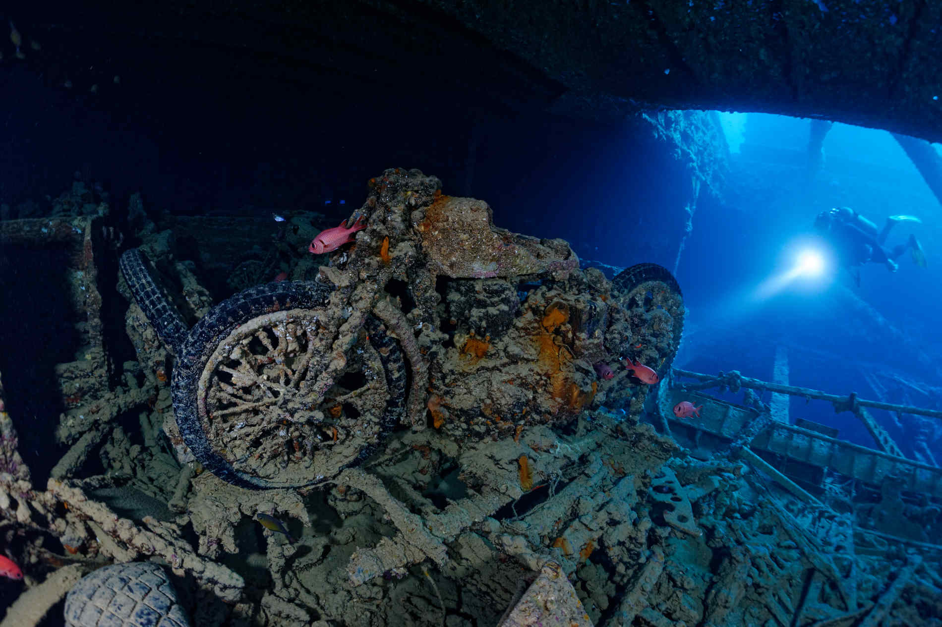 Una moto ricoperta di coralli e circondata da pesci, all'interno dei resti della nave SS Thistlegorm in Egitto